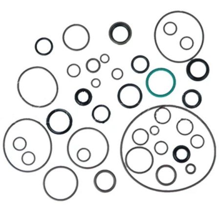 Control Valve Seal Assembly