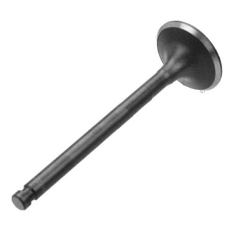 Exhaust Valve