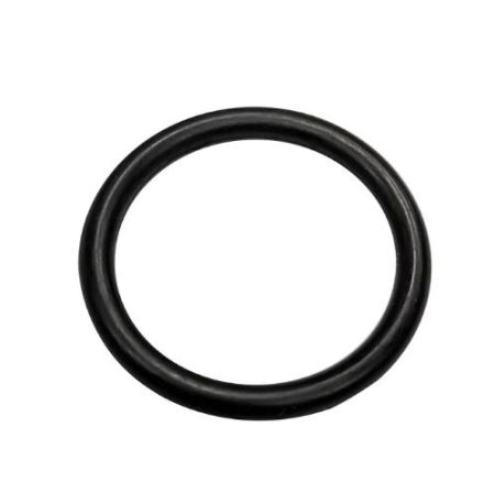 Gasket (Drian Plug)
