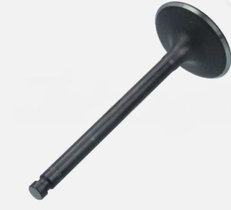 Intake Valve