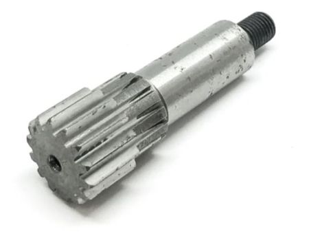 Small Straight Teeth