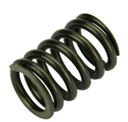 Valve Spring(outside)